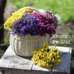 Букет-гілка малий пластмасовий - світлий фіолет