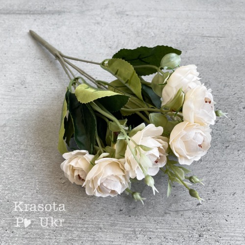 буккети молочного кольору