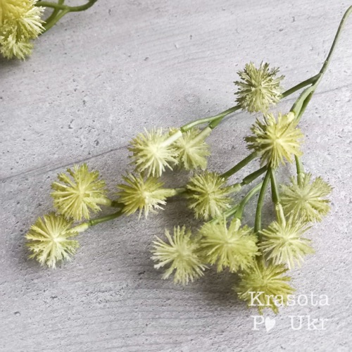 гілка з іжаками