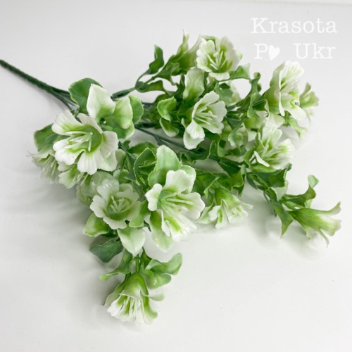 букет колокольчик польовий білий