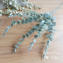 гілка евкаліпт для копмозицій