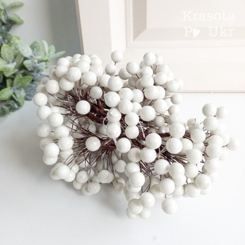 калина біла 40 ягідок