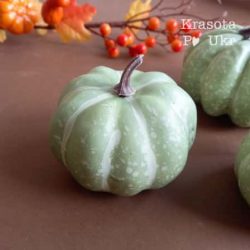 гарбузи для декорацій фісташкові