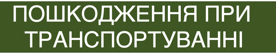 Знімок екрана 2024-04-04 о 141220 | Krasa Po Ukr