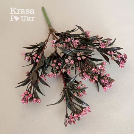 Зелень 32 см з рожевими бруньками