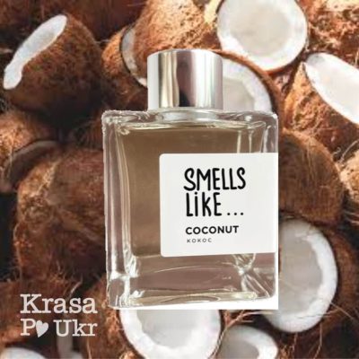 Аромадифузор Smells Like Coconut 100 мл, “кокос” від Krasa Po Ukr