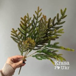 гілка хвоі преміум яякості