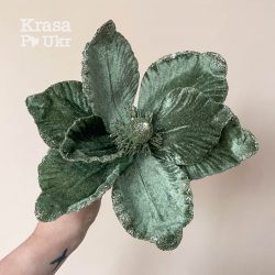 Новорічна магнолія, нефритова - новорічні квіти Київ Krasa Po Ukr
