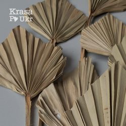 Сушене листя "ліванської пальми" сухоцвіт для кошиків