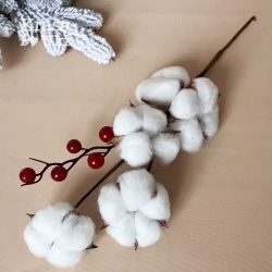 гілка з бавовною у вазу