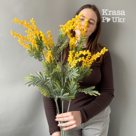 Високі гілки мімози (75 см) опт, упаковка 10 шт