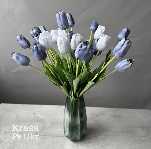 #image_title #separator_sa #site_title