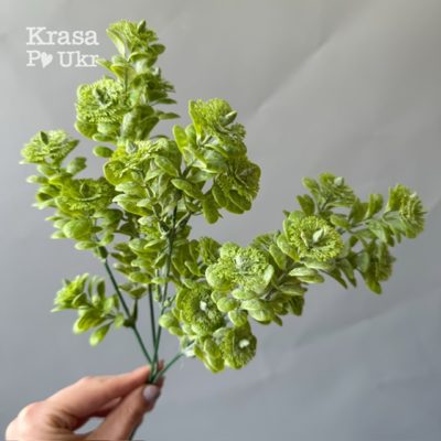 Якісна зелень для композицій