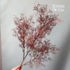 Гілка штучної зелені “коралоподібної” – тепло-коричнева (велика або мала)