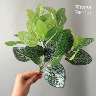 Букет декоративного листя - фітонія (35 см)