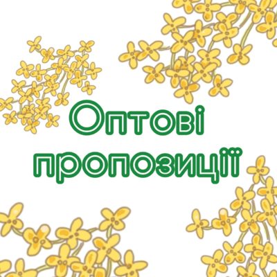 Оптові пропозиції (штучні квіти)