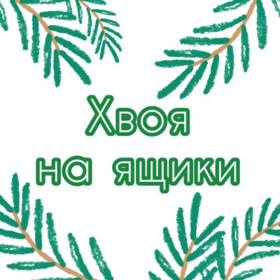 Хвоя на ящики