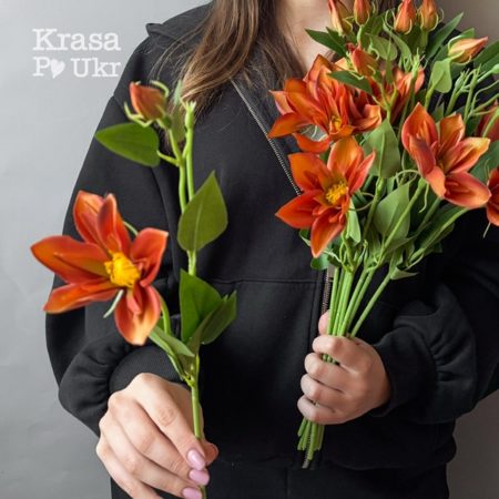 Гілка квітки з бутоном clematis – в осінньому забарвленні (47 см)