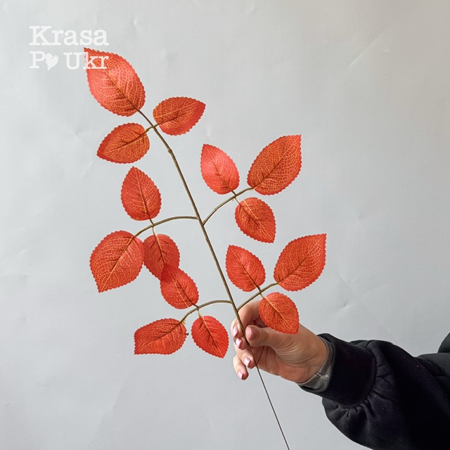 IMG_7301 | Krasa Po Ukr Гілка 50 см з листям у осінньому забарвленні, теракот