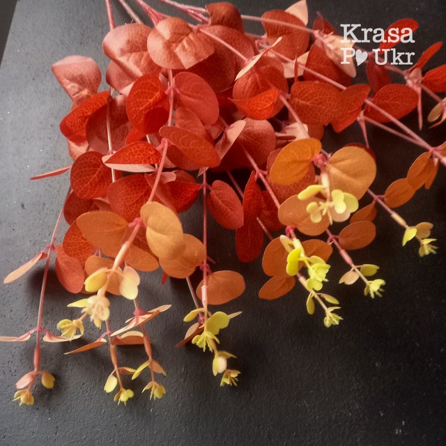 Букет осіннього евкаліпту