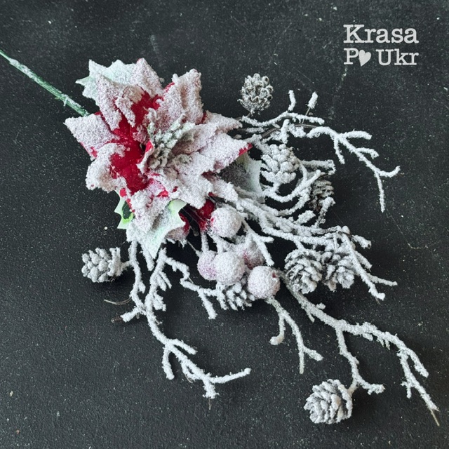 IMG_1271 | Krasa Po Ukr blank