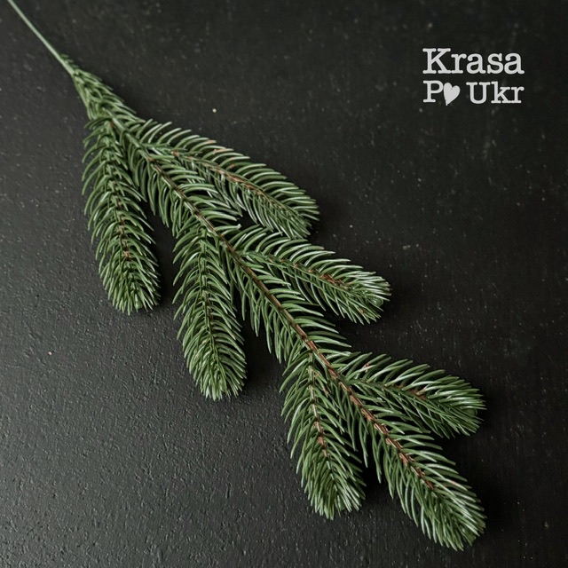 IMG_1515 | Krasa Po Ukr #9 Гілка литої хвої зелена