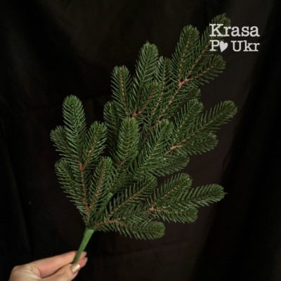 IMG_1529 | Krasa Po Ukr