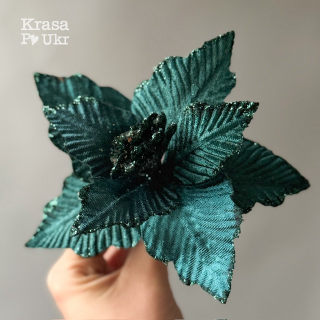 IMG_7701 | Krasa Po Ukr blank