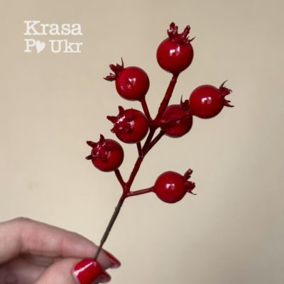 Гілка шипшини 18 см, червона