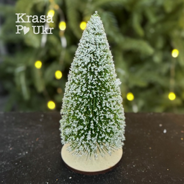 IMG_9806 | Krasa Po Ukr blank