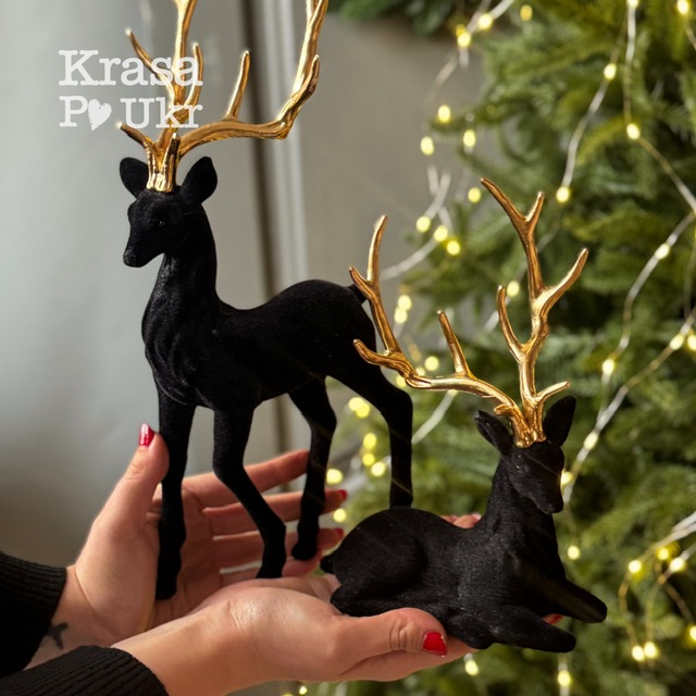 IMG_9809 | Krasa Po Ukr