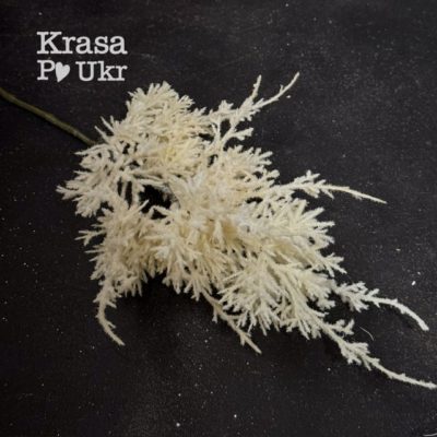 Декоратина гілка 45 см - аспарагус, молочний