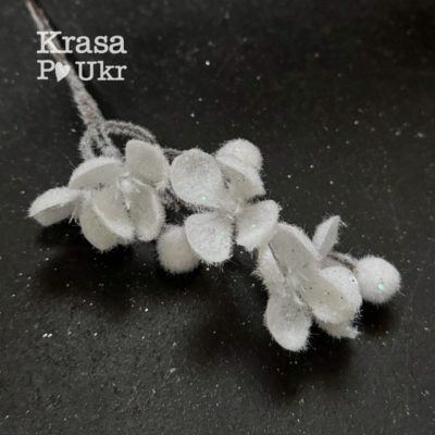 IMG_9896 | Krasa Po Ukr