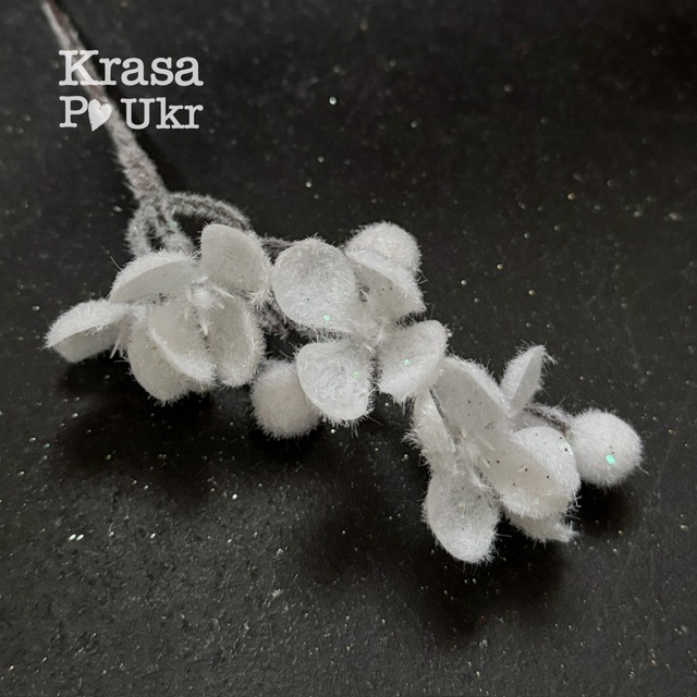 IMG_9896 | Krasa Po Ukr blank