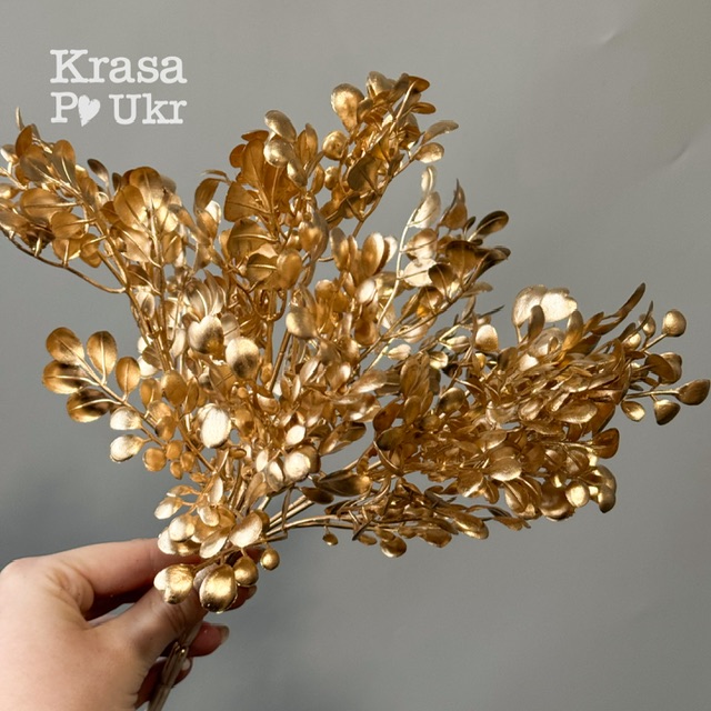 IMG_2295 | Krasa Po Ukr blank