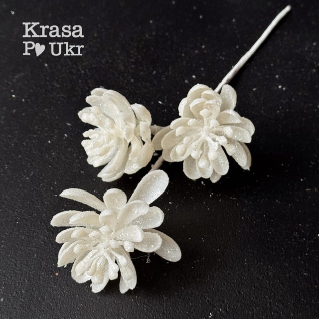 IMG_2346 | Krasa Po Ukr blank