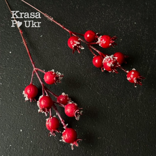 IMG_2360 | Krasa Po Ukr Декоративна гілка 18 см "шипшина в льоді", червона