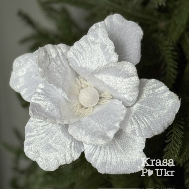 IMG_2847 | Krasa Po Ukr