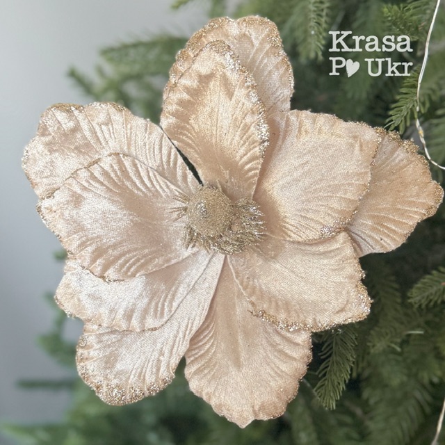 IMG_4510 | Krasa Po Ukr