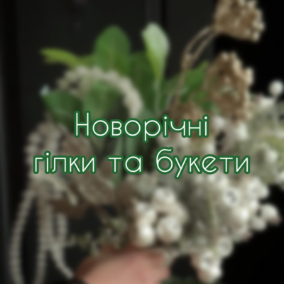 Новорічні гілки