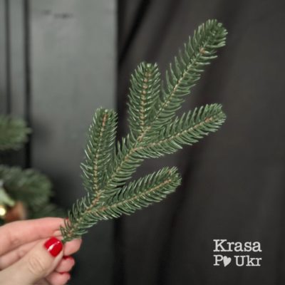 IMG_5609 | Krasa Po Ukr #8 Гілка лита хвоя зелена