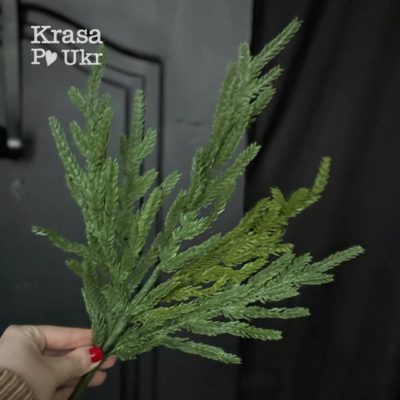 Гілка ялини норфолк - велика 45 см, мала 25 см