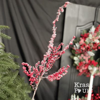 Гілка 55 см калини в снігу