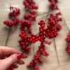 #344 Калина для декору - червона