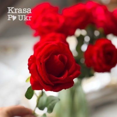 Червона оксамитова троянда 50 см, 1 шт