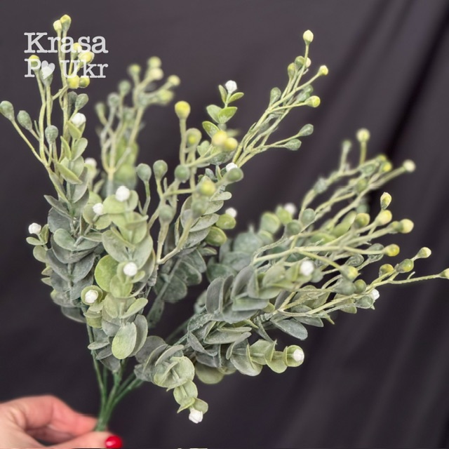 Декоративна зелень евкаліпт з ягідками для флористики Krasa Po Ukr Декоративна зелень евкаліпт з ягідками для флористики Krasa Po Ukr