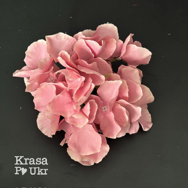 IMG_5718 #2621-11 Гортензія - темна пудра