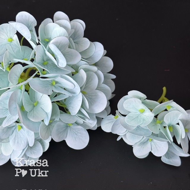 IMG_5726 Латексна голівка гортензії ніжно-блакитна - більша або менша