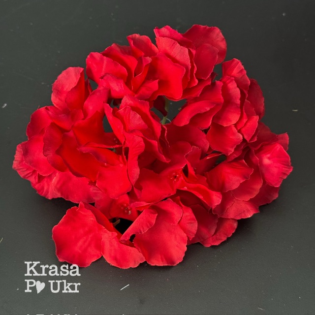 IMG_5732 #2621-5 Червона гортензія для декору