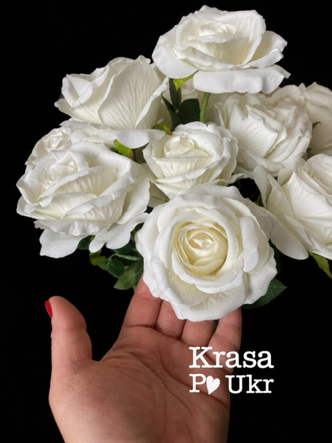 Оксамитова біла троянда